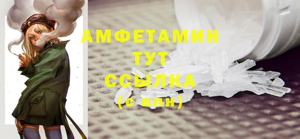 хмурый Верея