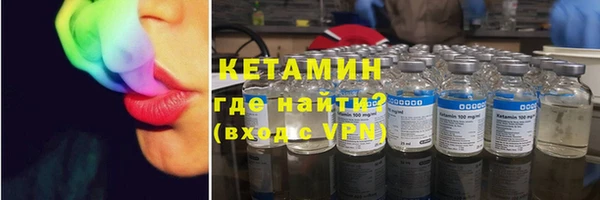 хмурый Верея