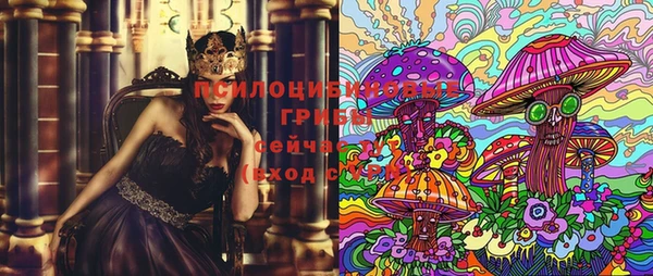 хмурый Верея