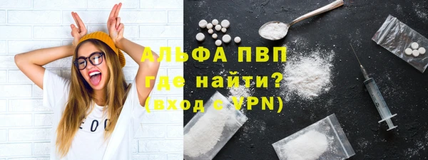 хмурый Верея
