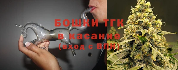 хмурый Верея