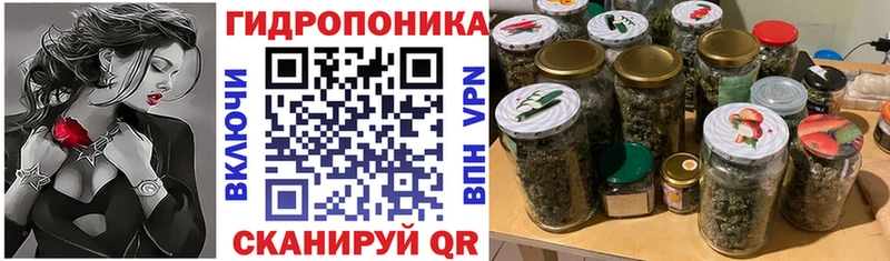 купить  цена  Нея  Марихуана сатива 
